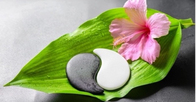 Body-Mind Medicine (Signature Holistic Program)