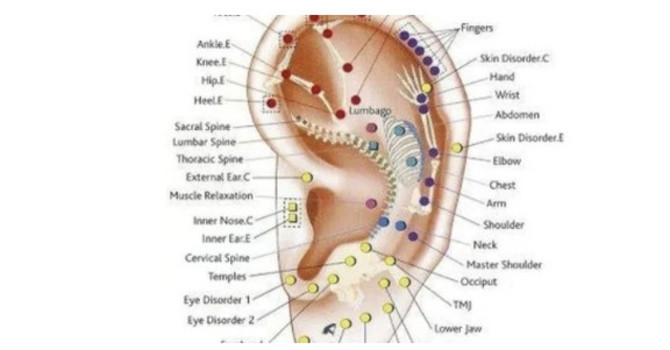 Auriculotherapy: Ear Treatments