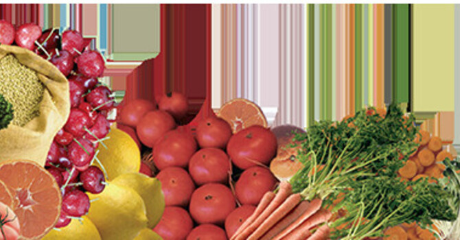 Whole Food Nutrition image