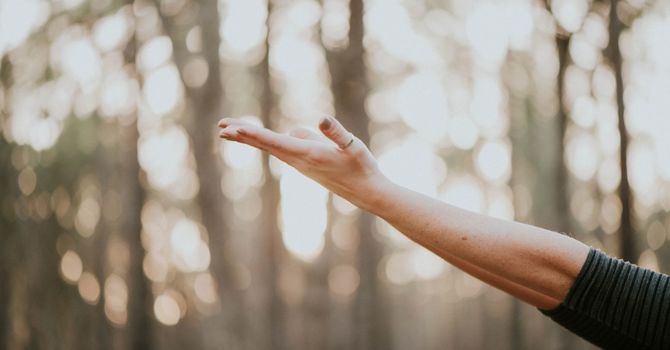 Body Mind Medicne